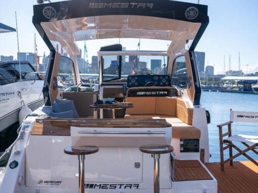 06_MESTRA-352-HT_IMG-20250628-WA0070